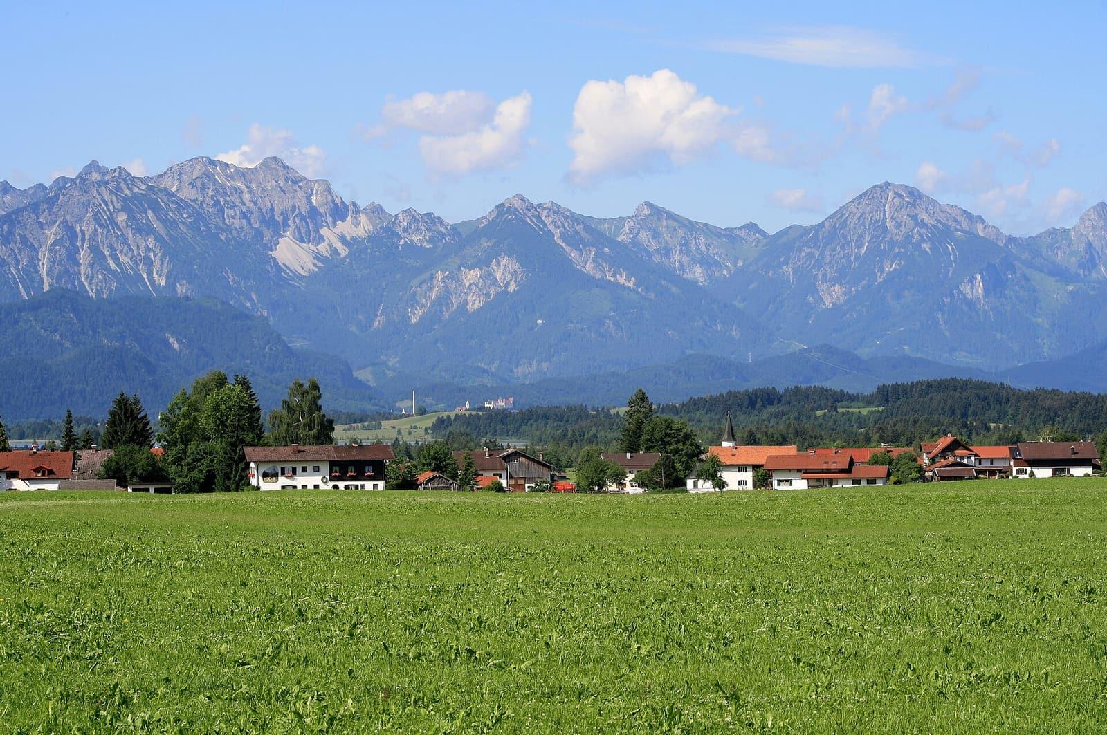 Wiesen bei Schwangau vor den Allgäuer Alpen