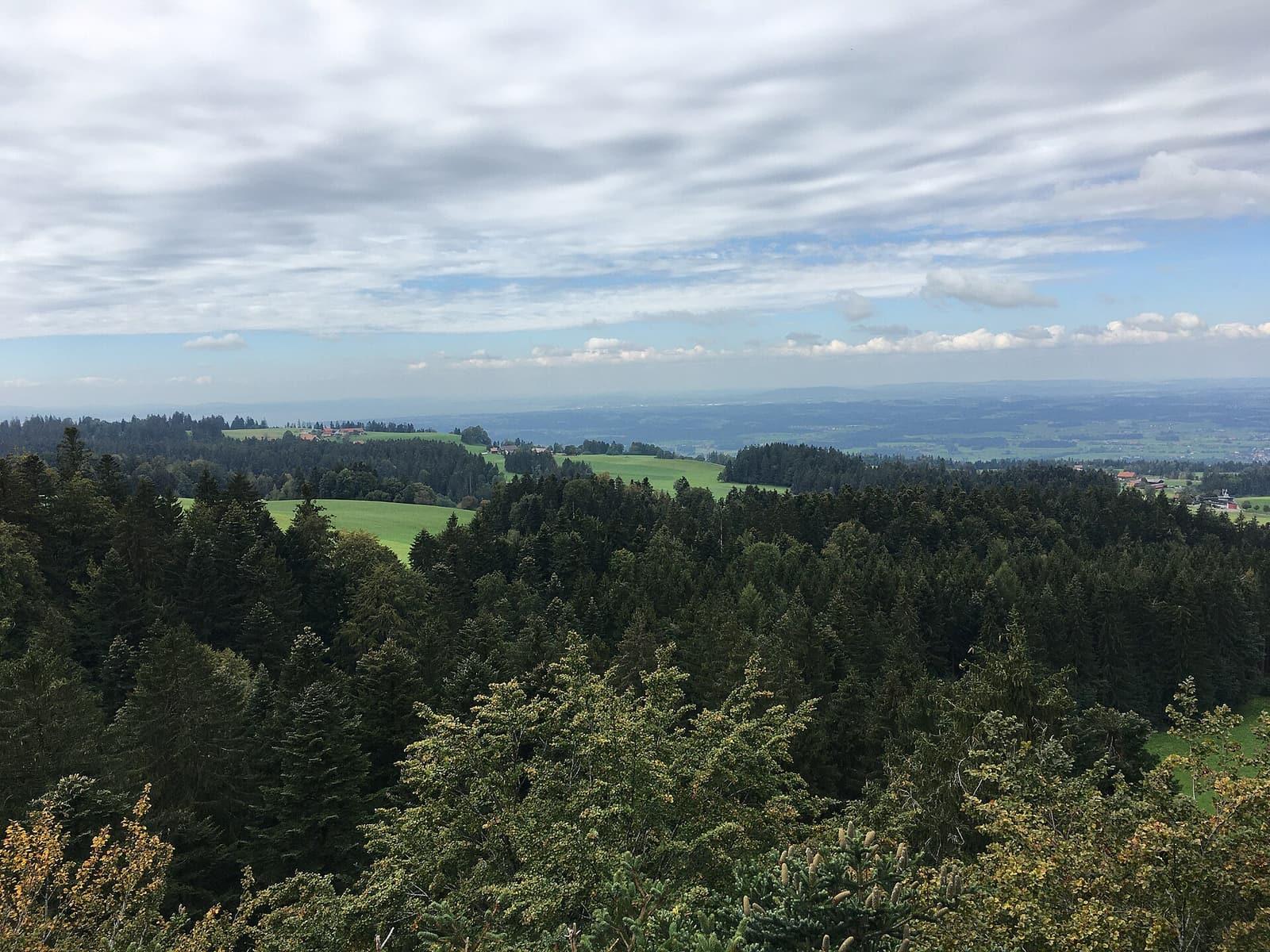 Ausblick vom Skywalk in Scheidegg über Wald und Westallgäu