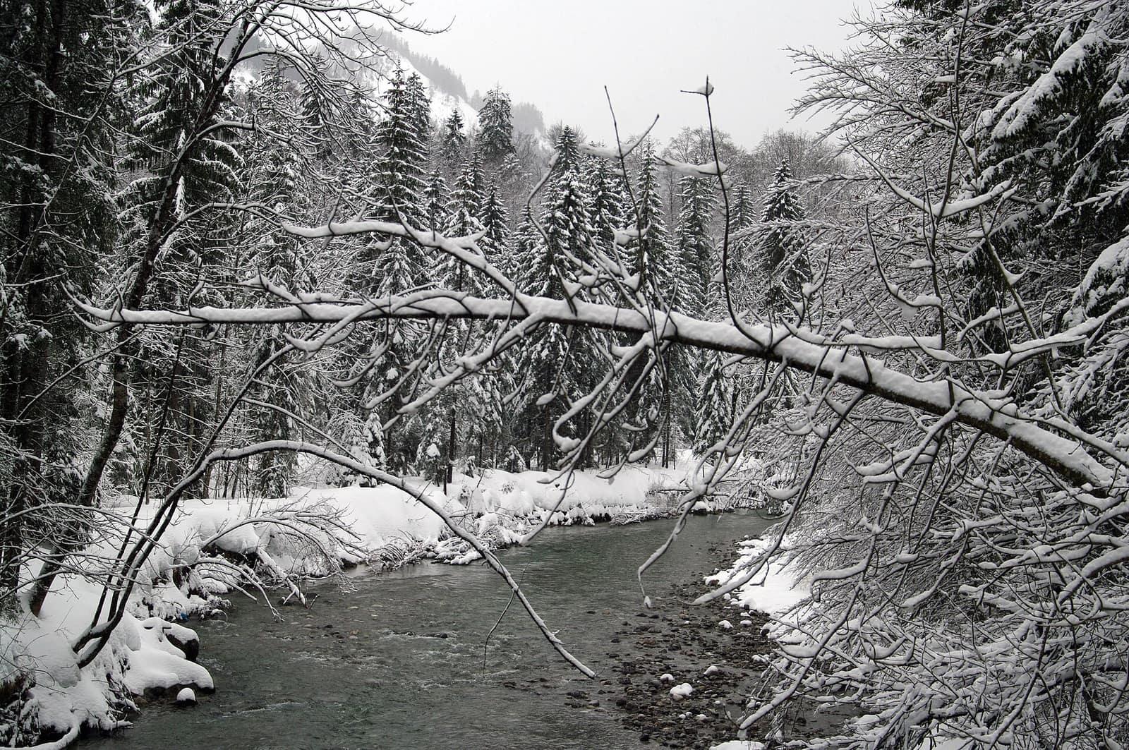 Die Weißach bei Kreuth im Winter